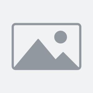 istockphoto 1980276924 612x612